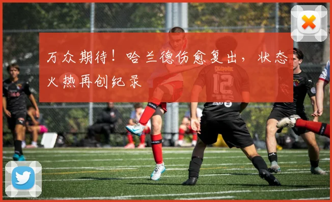 万众期待！哈兰德伤愈复出，状态火热再创纪录